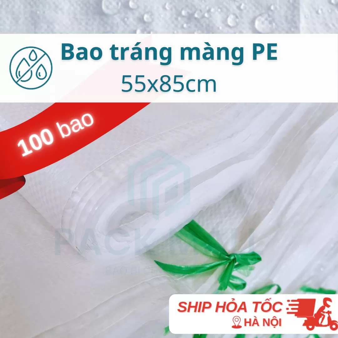 Bao 55x85