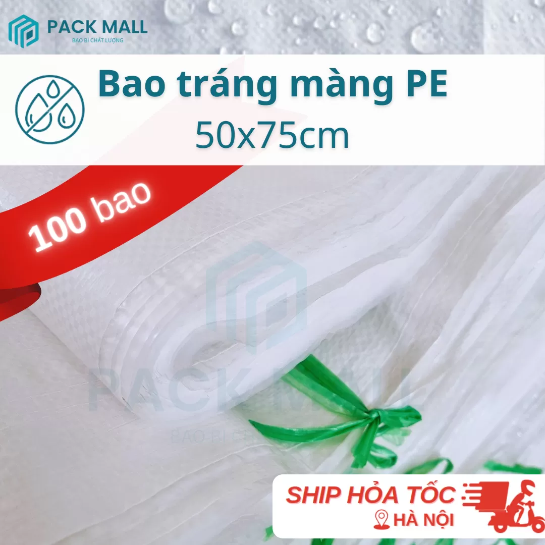 Bao 50x75